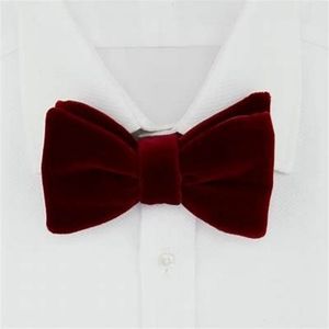 Penguin burgundy velvet bow tie